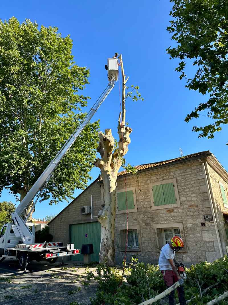 ac paysage entretien jardin gard