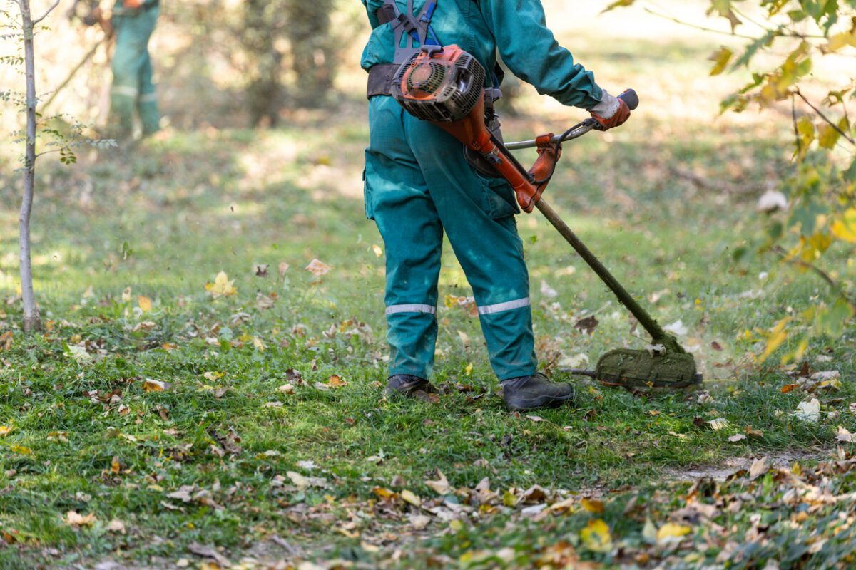 débroussaillage