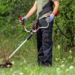 Comment le débroussaillage protège-t-il votre maison contre les feux de forêt ?
