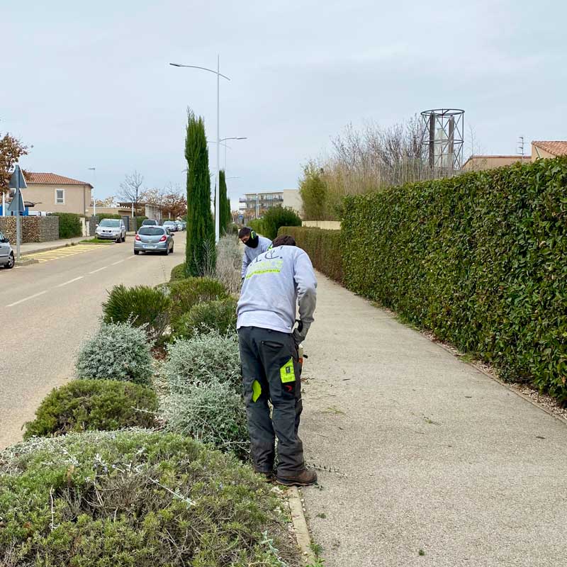 ac paysage entretien jardin gard