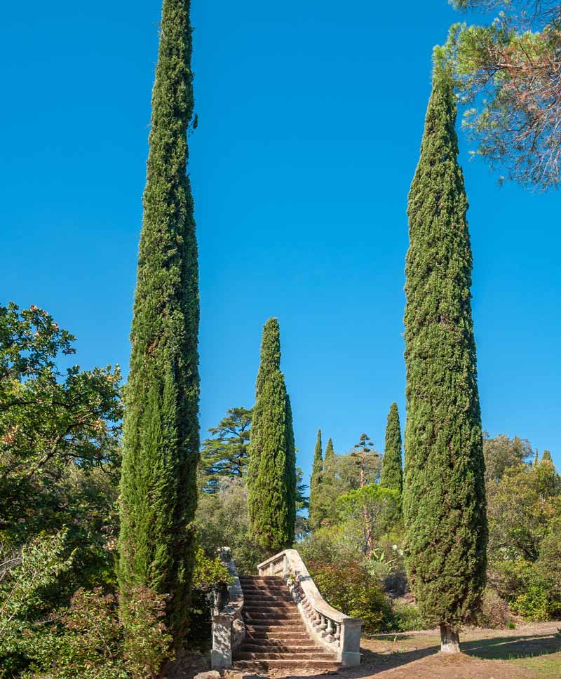 ac paysage entretien jardin gard