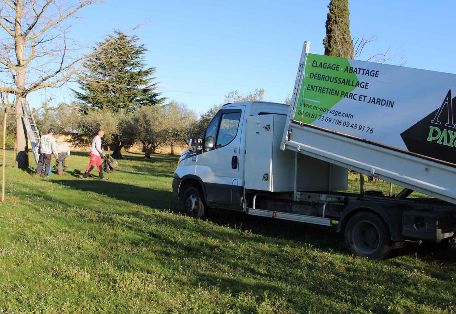 prestation elagage arbre gard