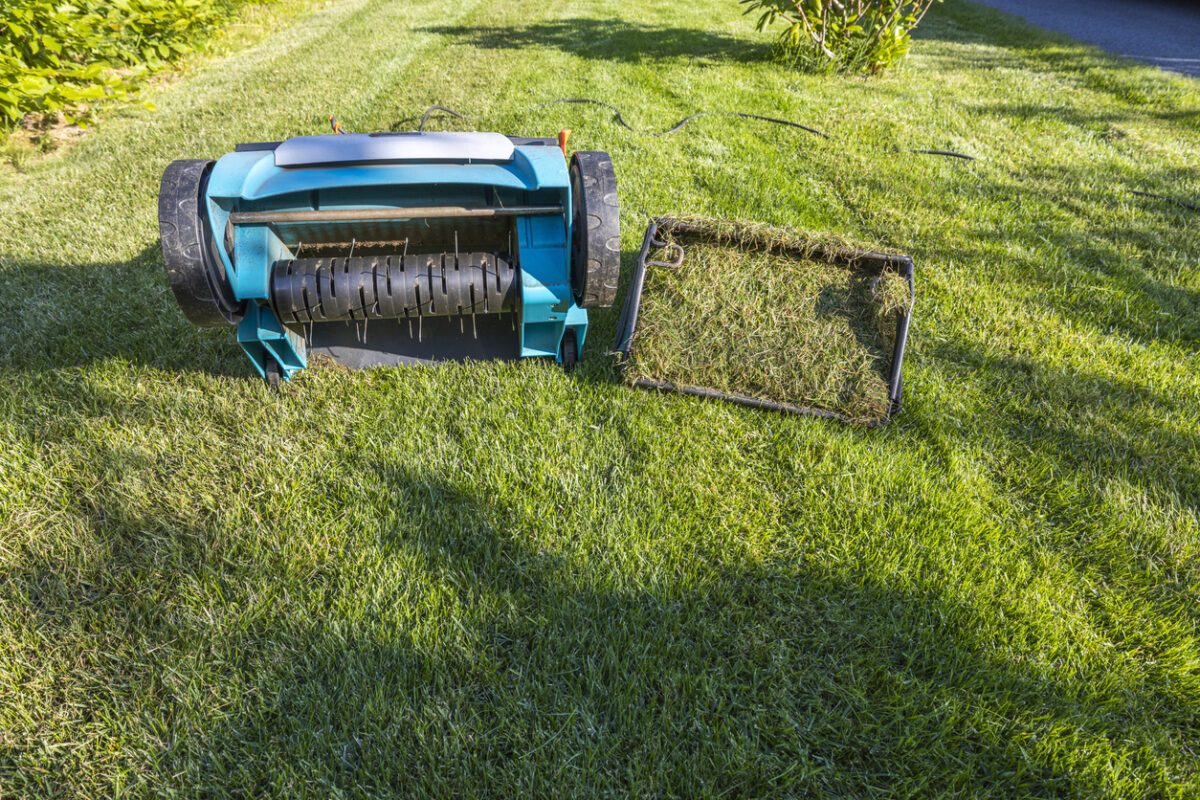 scarifier la pelouse